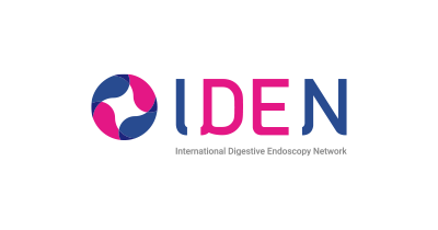 IDEN logo
