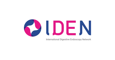 IDEN logo