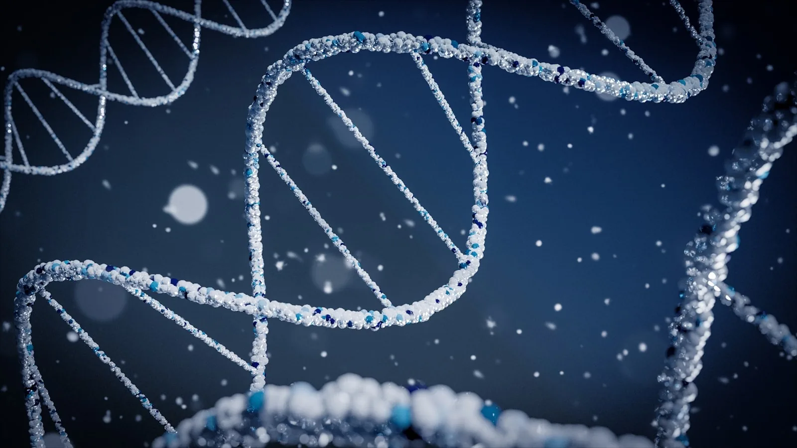 Illustration of a DNA double helix