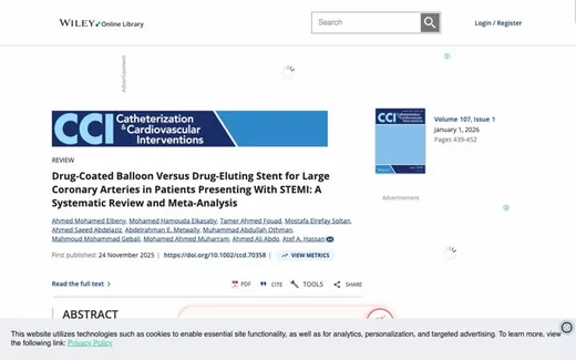 Screenshot of the paper on the journal website