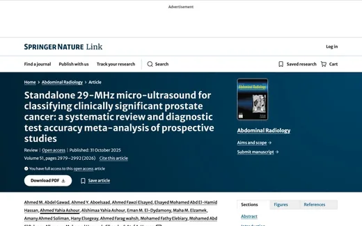 Screenshot of the paper on the journal website