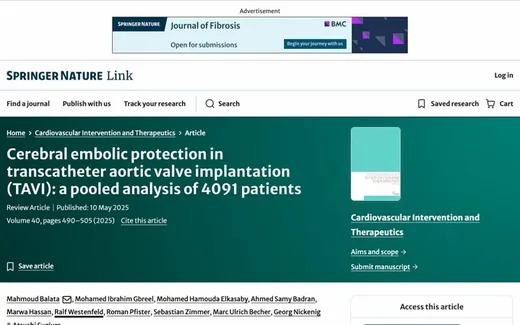 Screenshot of the paper on the journal website