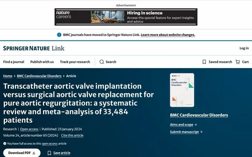 Screenshot of the paper on the journal website