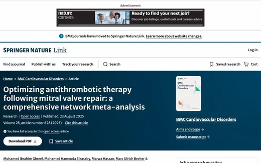 Screenshot of the paper on the journal website